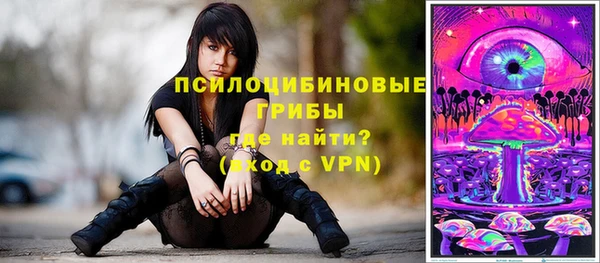 хмурый Нефтекумск