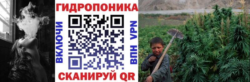 Шишки марихуана конопля где продают Слюдянка